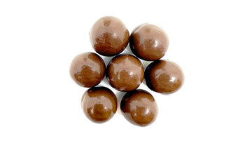 Milk Chocolate Covered Mini Graham Cookies