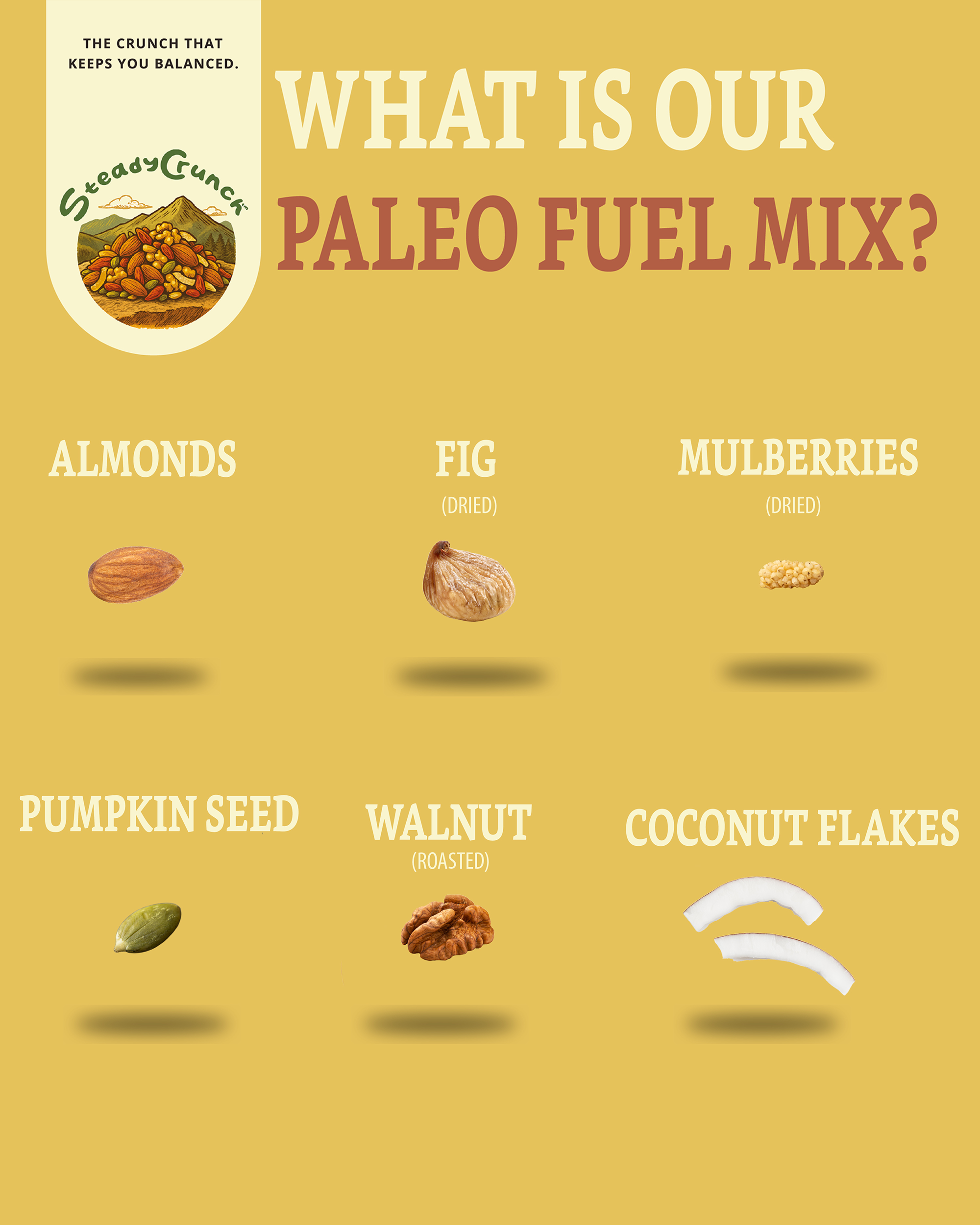 Paleo Fuel Mix