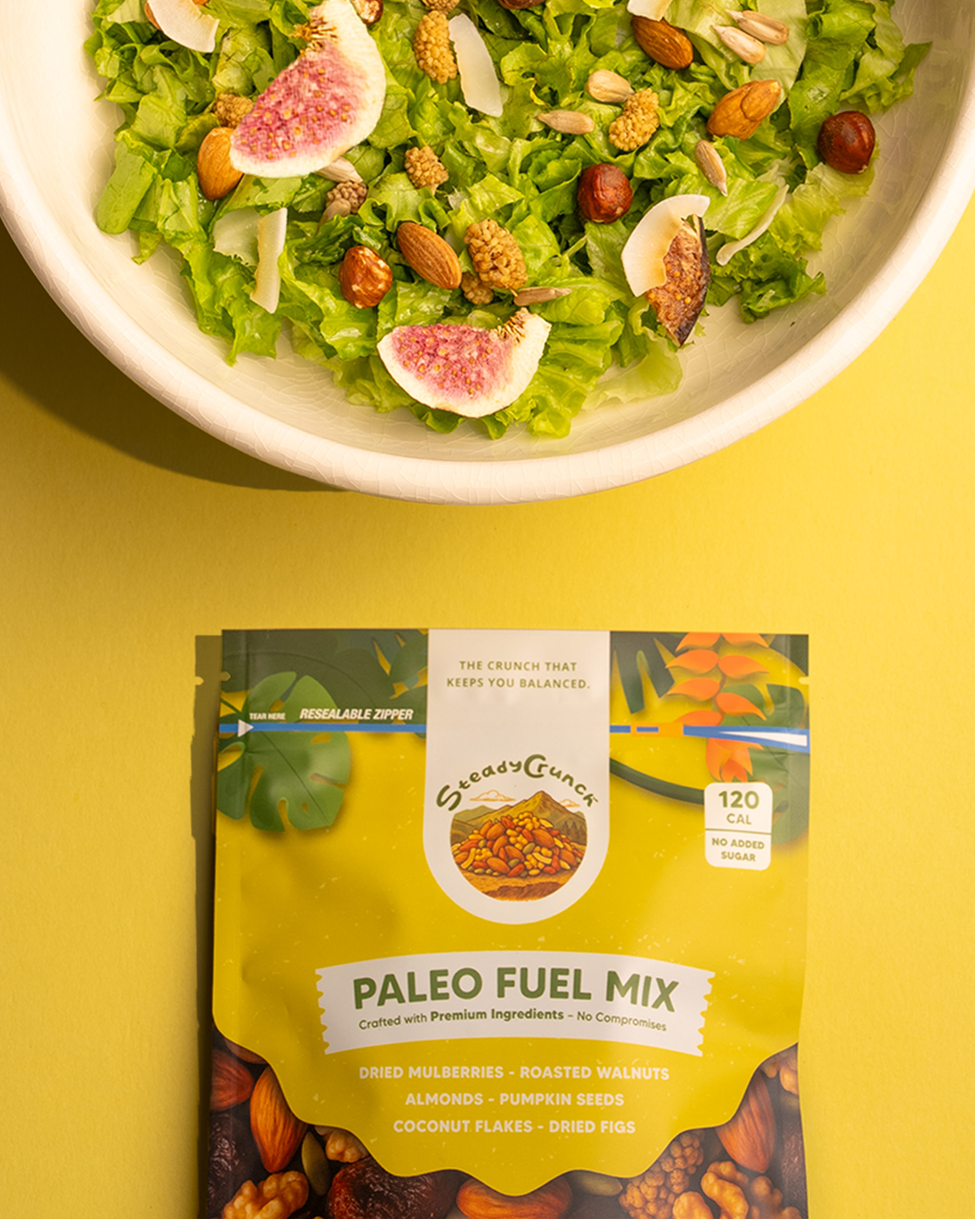 Paleo Fuel Mix