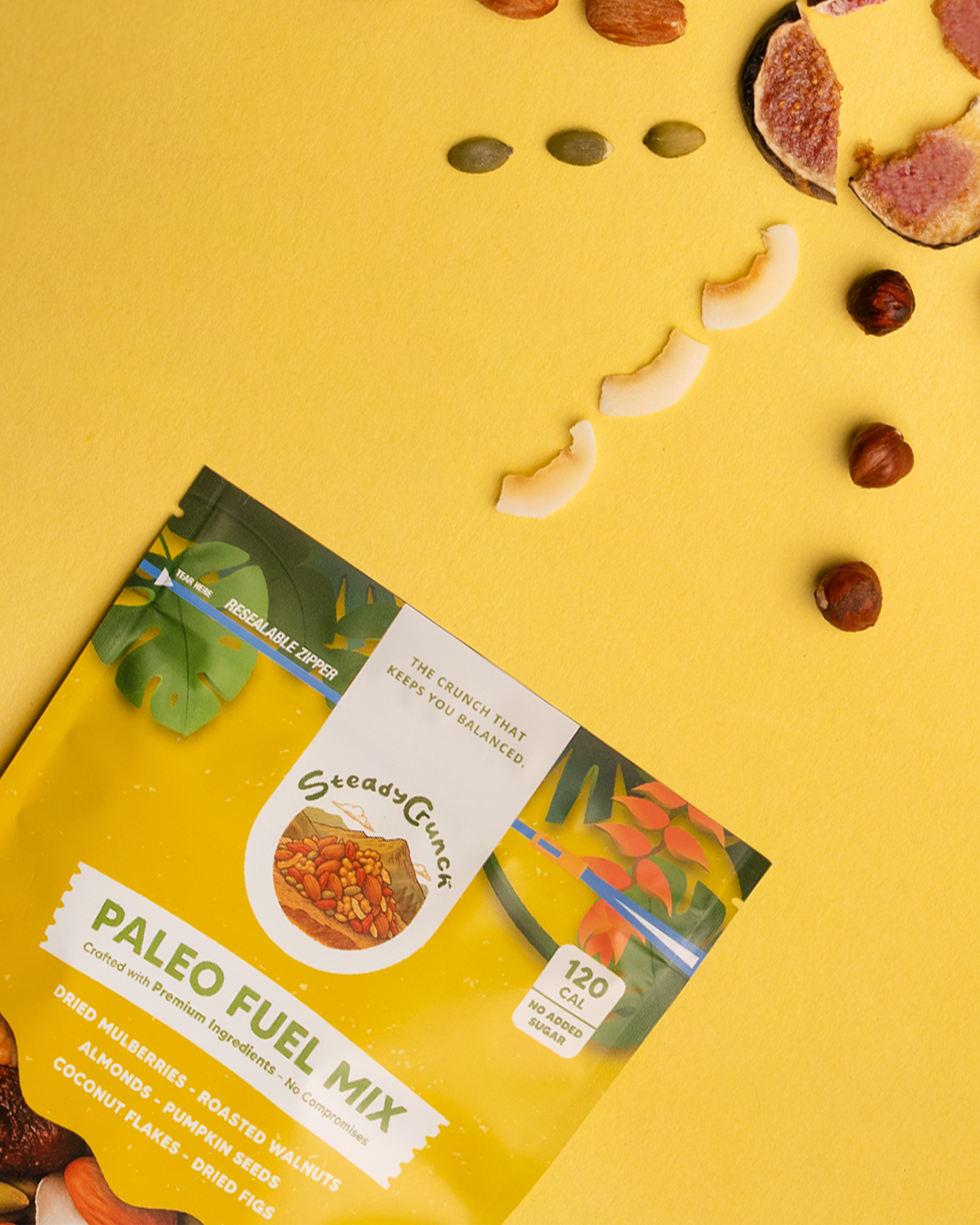 Paleo Fuel Mix