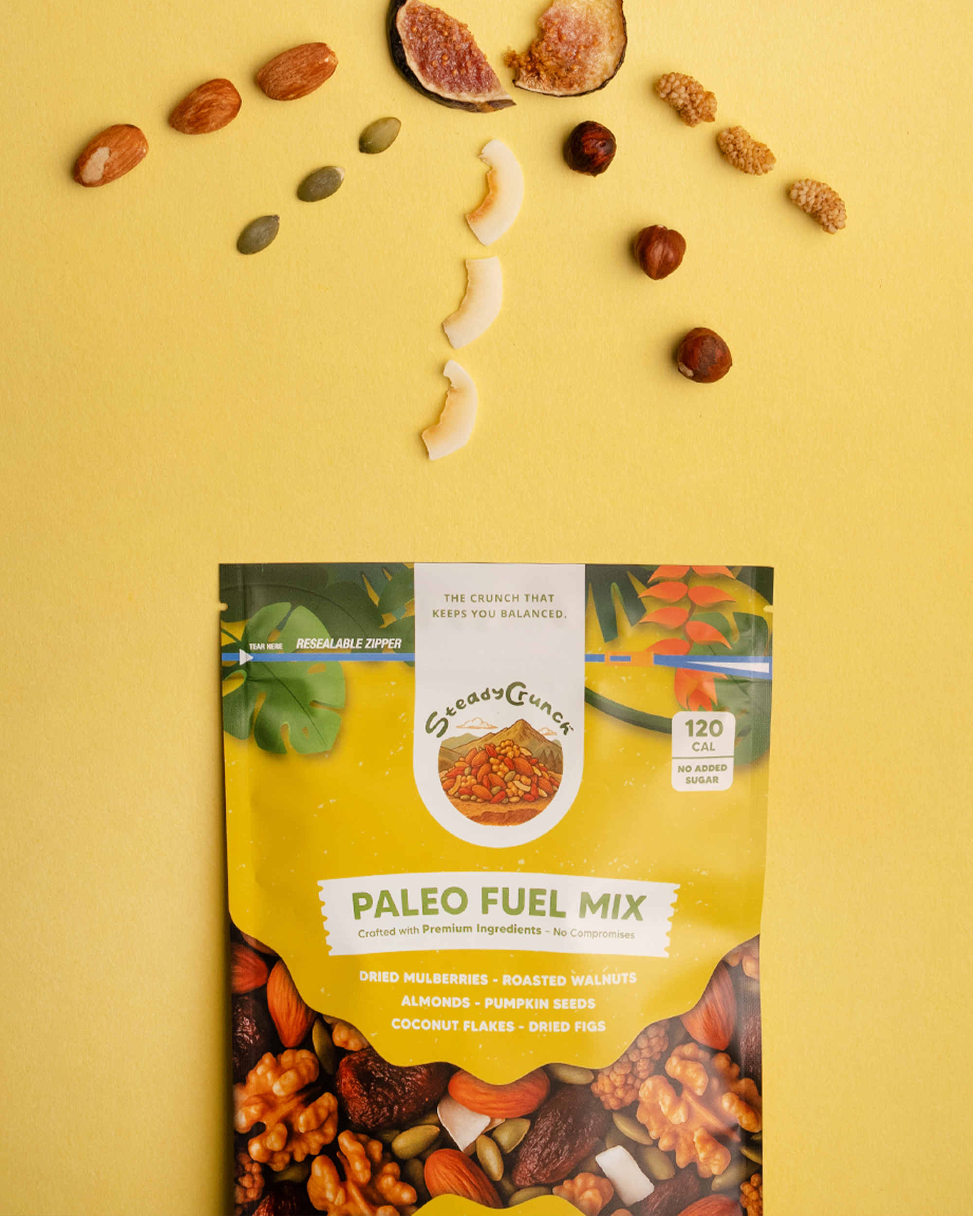 Paleo Fuel Mix