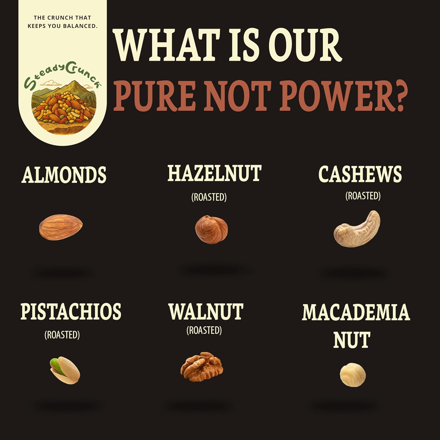 Pure Nut Power Mix